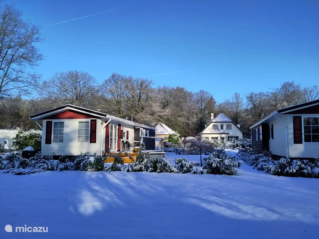 front view with snow