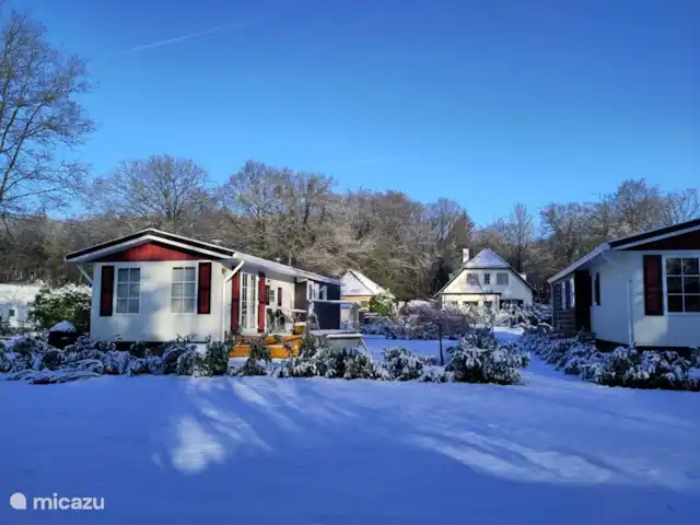 Location de Vacances Pays-Bas, Gueldre, Gorssel, chalet - Herbie vue de face avec de la neige