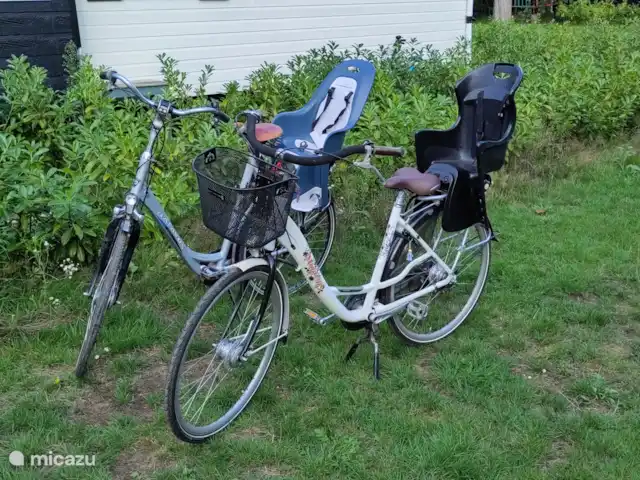 Location de Vacances Pays-Bas, Gueldre, Gorssel, chalet - Herbie 2 vélos avec siège enfant inclus