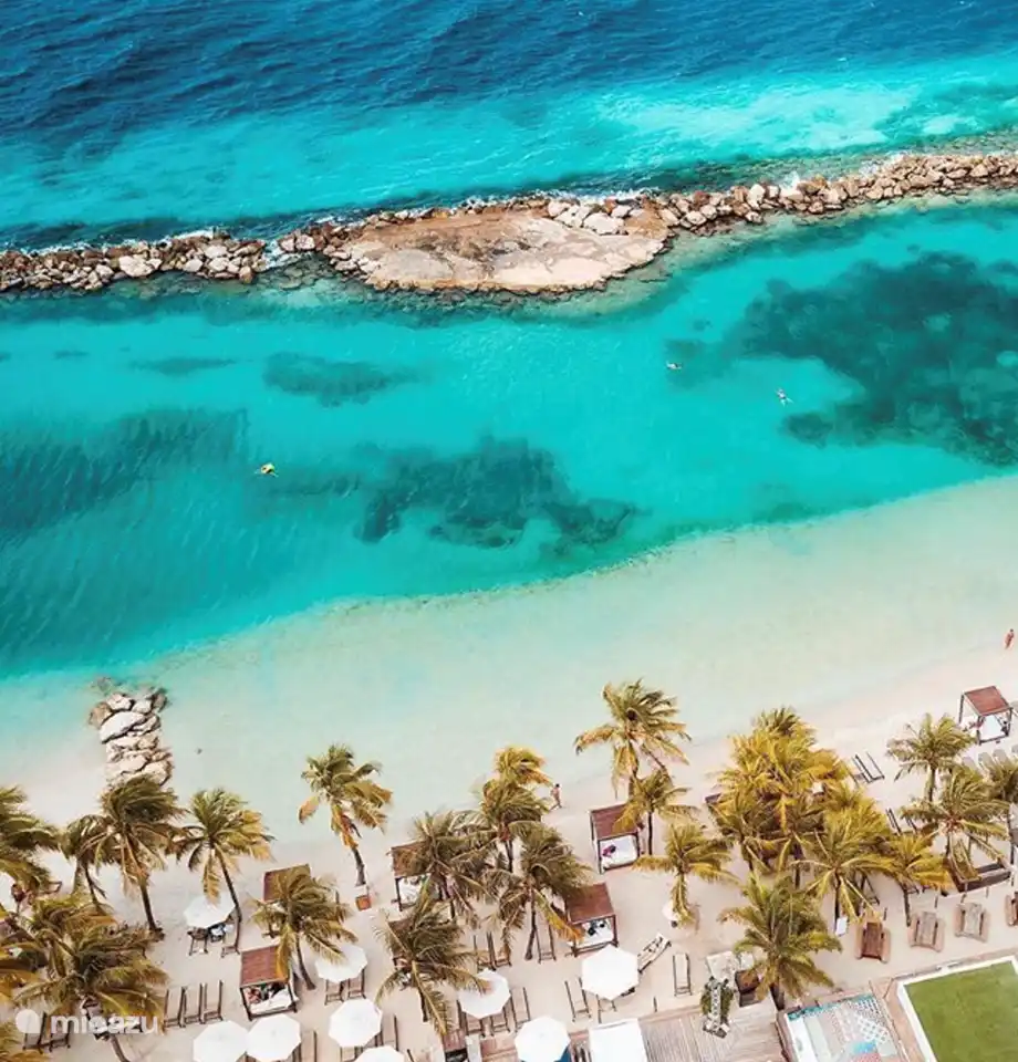 Curacao's most popular beach, Mambo Beach, is only a 2-minute drive away. There are many shops, restaurants and beach clubs here. This is also a great place to dance!
