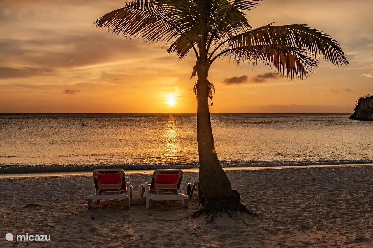 Our favorite color is sunset