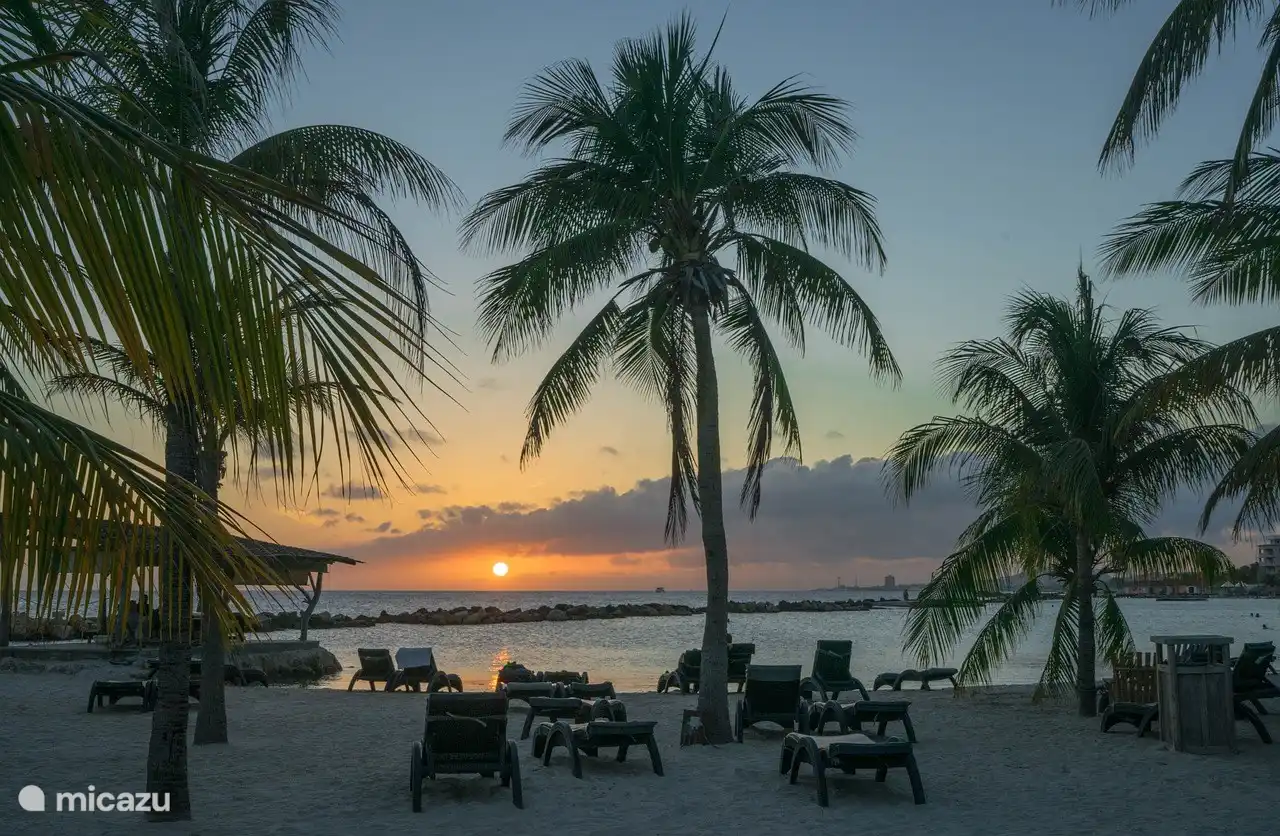 Beautiful sunsets every day