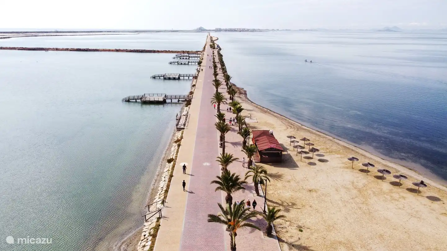 Baños de barro con flamencos salvajes