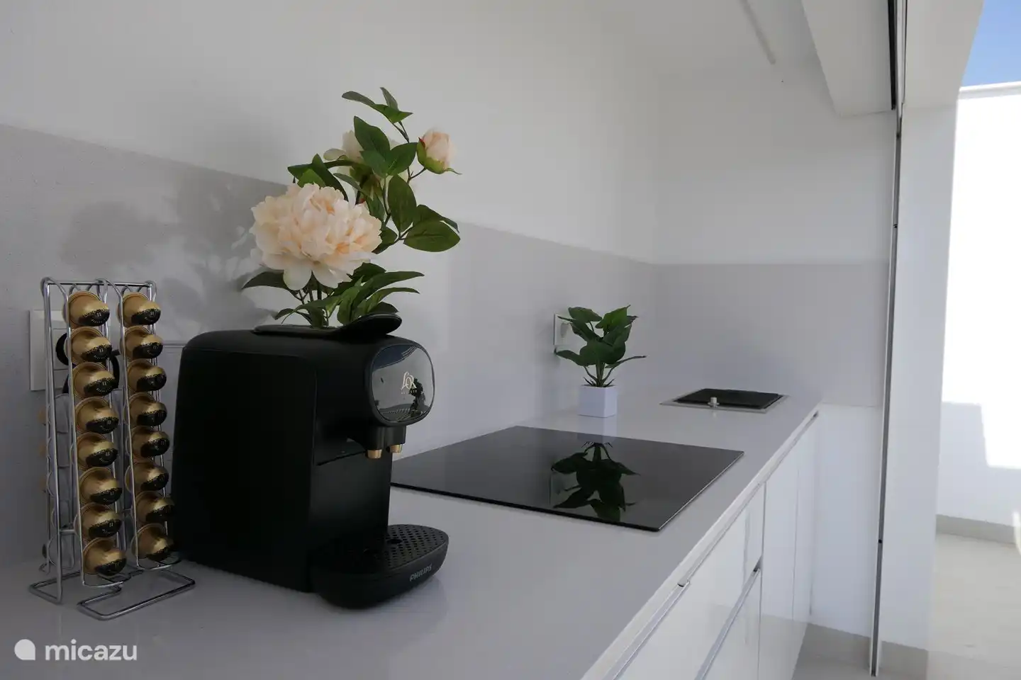 Cocina exterior, cafetera, placa grill eléctrica y placa de inducción.