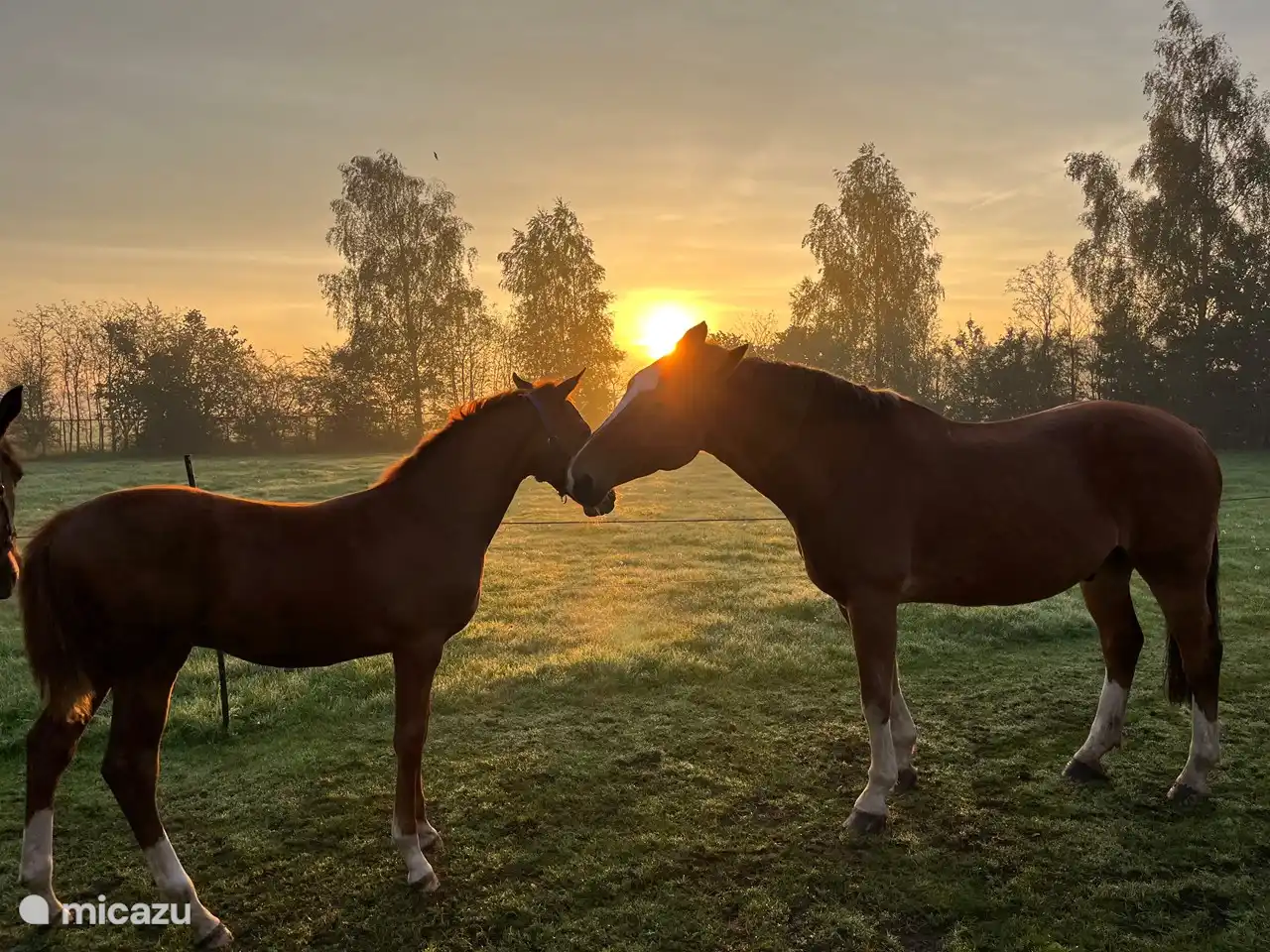 Sonnenaufgangsansicht 't Beerzerachterhuus