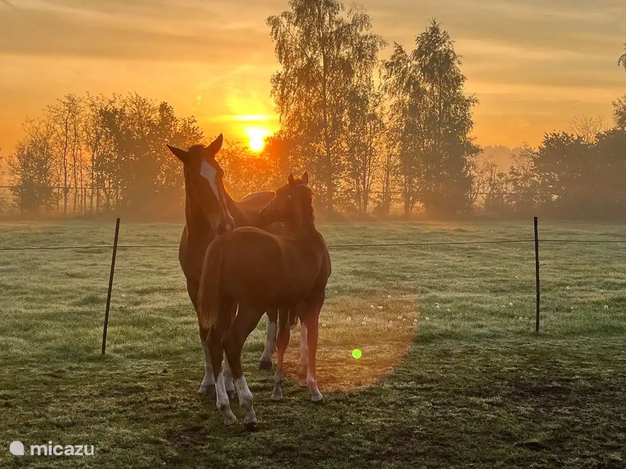 Sonnenaufgangsansicht 't Beerzerachterhuus