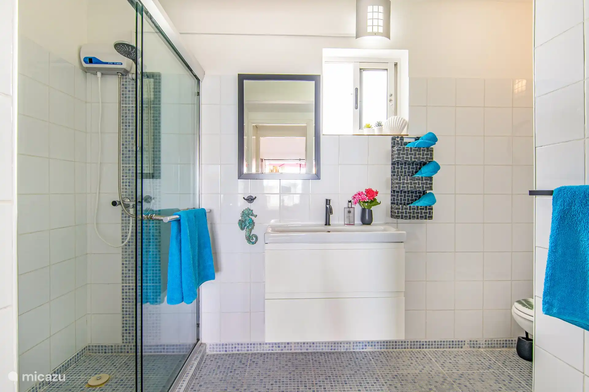 Bathroom with washbasin, walk-in shower with hot water, which is not common on Curacao and a toilet 