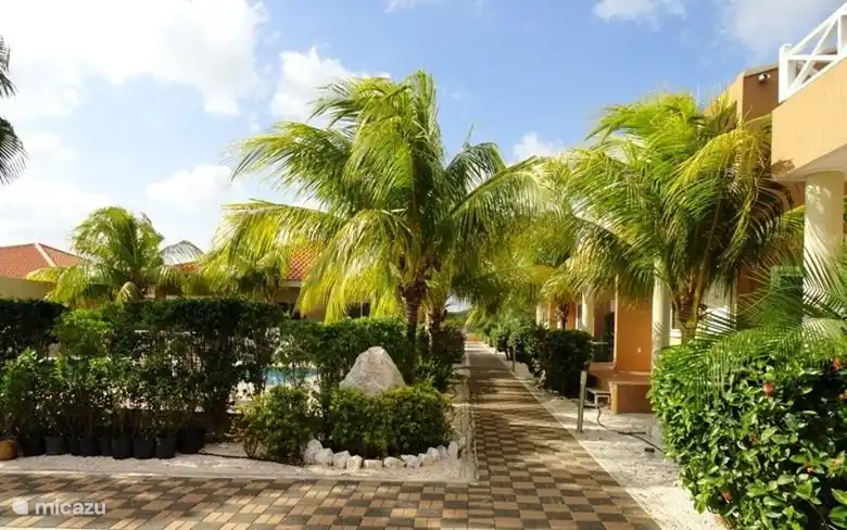 Resort path 50 meters to pool with lighting