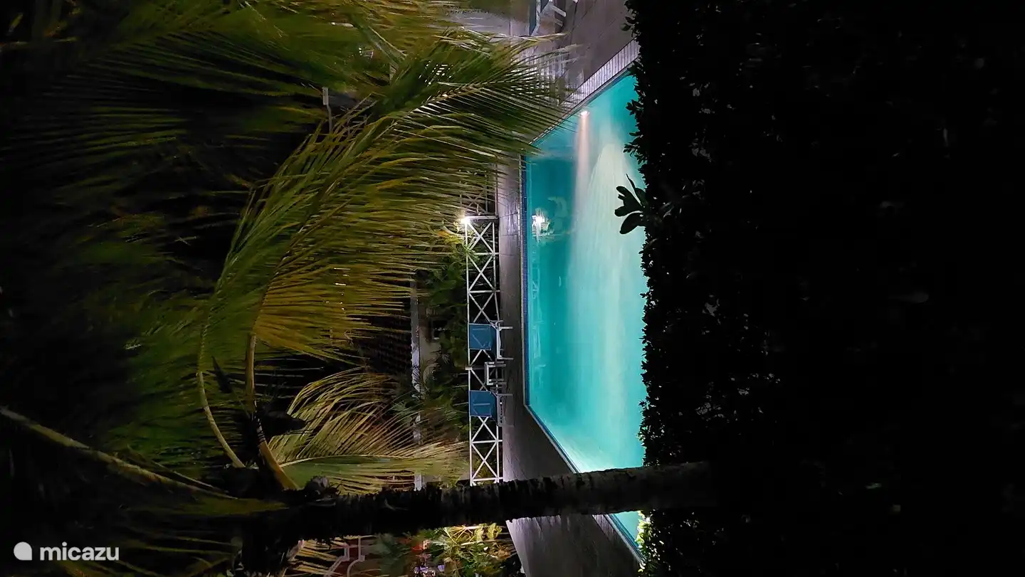 Swimming pool in the evening
