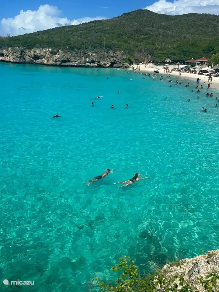 Beautiful place to swim great Knip