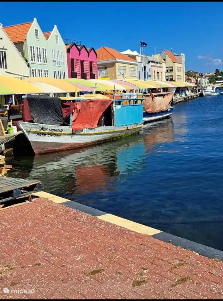 Floating fruit market