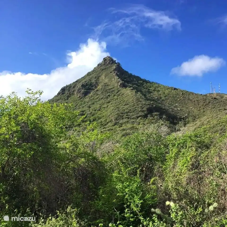 Christoffelberg, which you should climb once if possible to enjoy the beautiful view of Curacao. Very early in the morning due to the heat