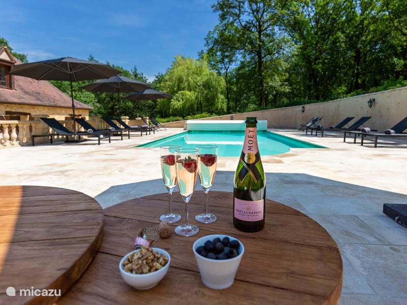 Vakantiehuis Frankrijk, Dordogne, Rampieux Vakantiehuis Luxe, prive & verwarmd prive zwembad