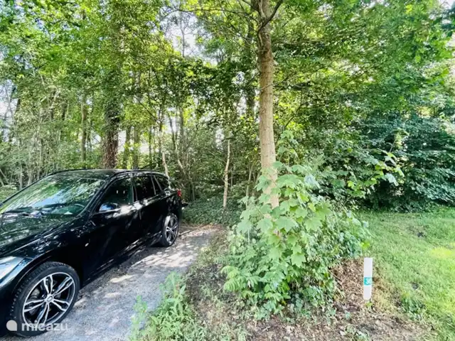 Chalet Goudmeer | Pays-Bas, Frise, Oosterwolde - chalet