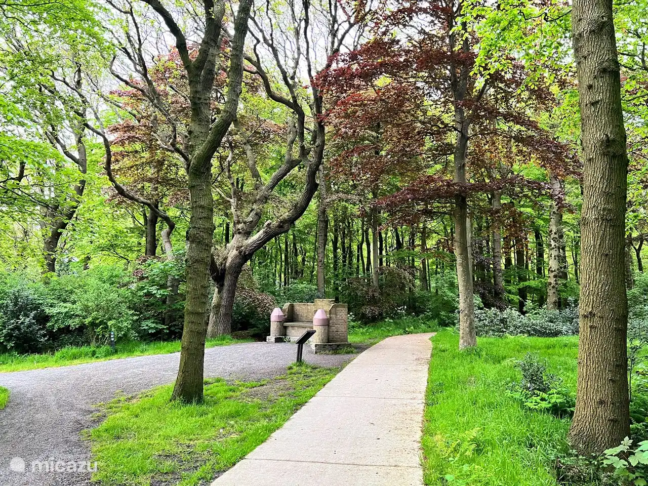 Gaaikema Bank Jolderenbos