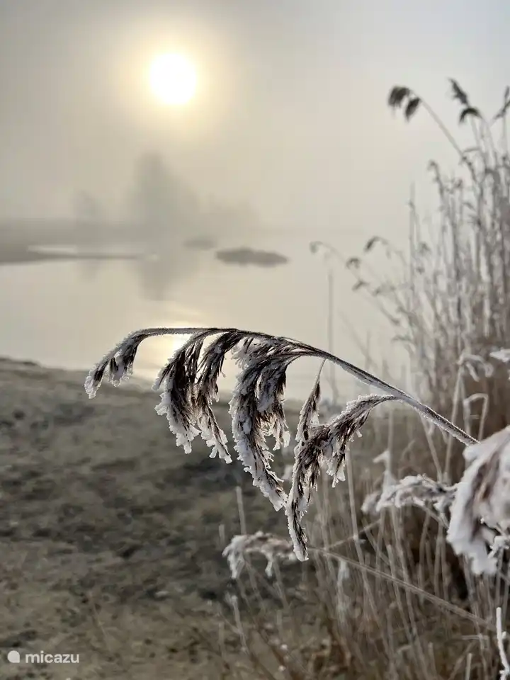 Winterliches Umweltfoto