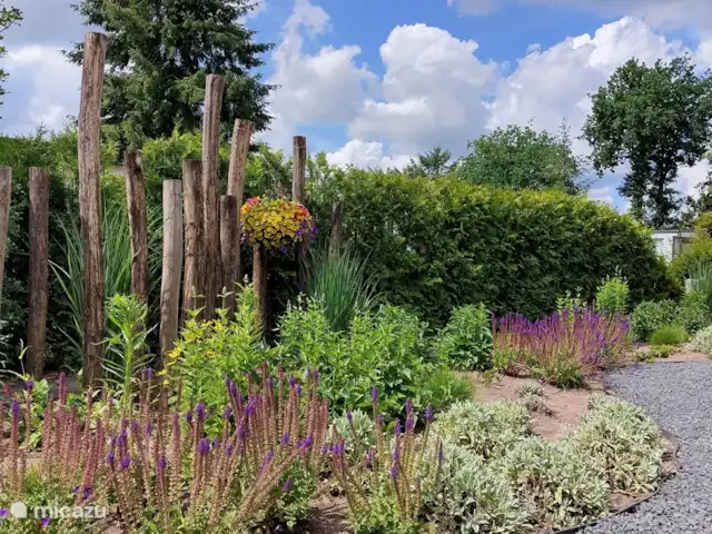 Location de Vacances Pays-Bas, Gueldre, Wells, chalet - Huisje de Larch - avec sauna extérieur Jardin de fleurs