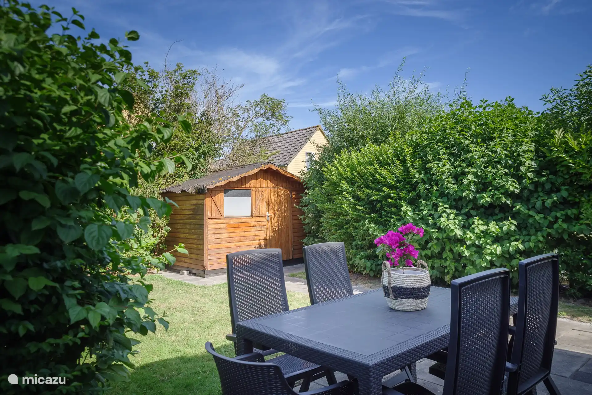 Abri de jardin n° 81