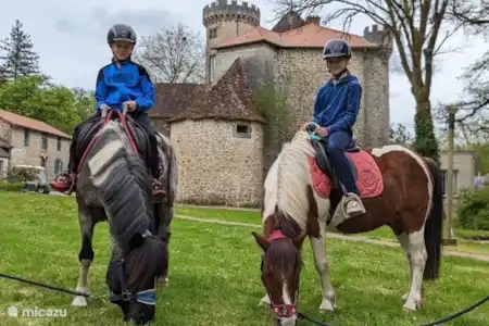 Nouvelle activité sur le camping pour la saison 2023