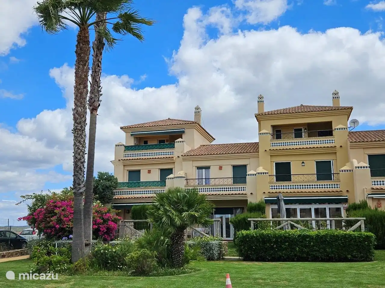 Vorderansicht mit Palme