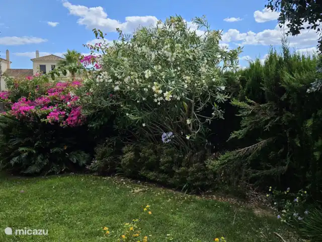 Location de Vacances Espagne, Andalousie, Ayamonte, maison de vacances - Casa Guadiana Jardin