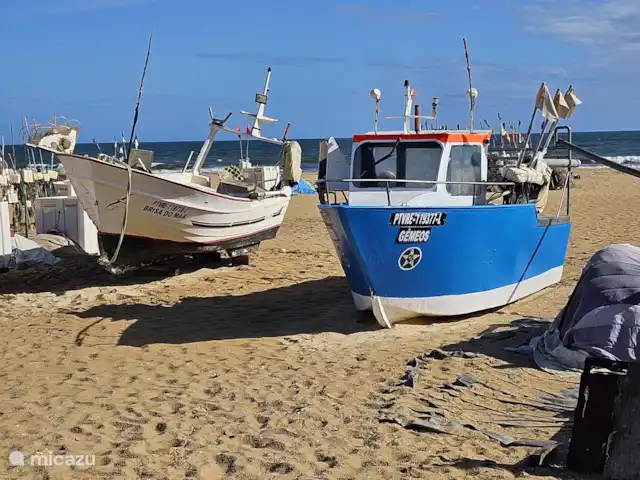 Location de Vacances Espagne, Andalousie, Ayamonte, maison de vacances - Casa Guadiana Bateaux sur la plage juste de l’autre côté de la frontière sur la côte à Monte Gordo. Quelle est la fraîcheur du poisson ?