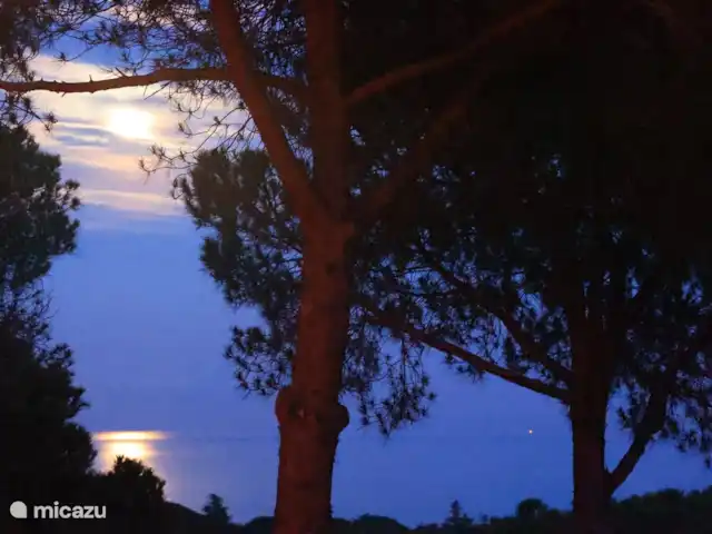 Houten villa op landgoed Barcelona  huren in Spanje, Barcelona, Sant Andreu de Llavaneres  - chalet Prachtig uitzicht wat constant anders is