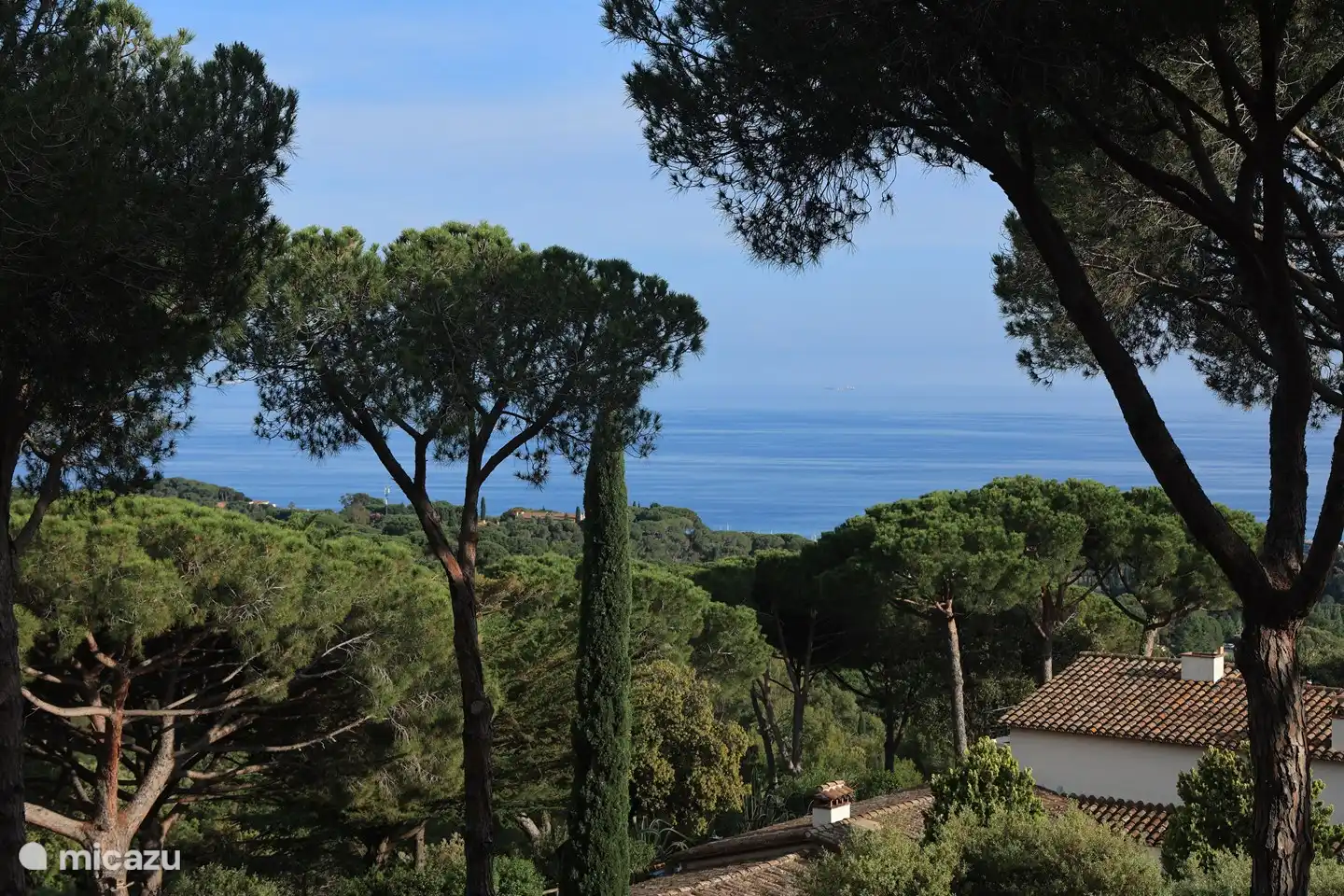Blick von der Hütte