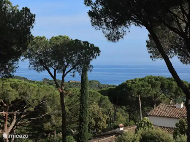 Houten villa op landgoed Barcelona  huren in Spanje, Barcelona, Sant Andreu de Llavaneres  - chalet Uitzicht vanuit Cabin