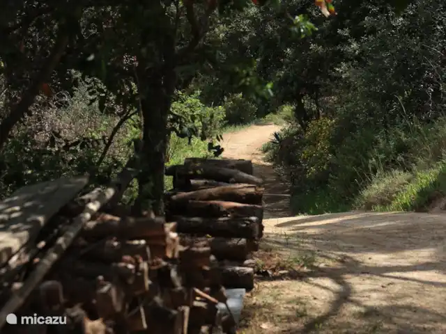 Houten villa op landgoed Barcelona  huren in Spanje, Barcelona, Sant Andreu de Llavaneres  - chalet Paden over terrain