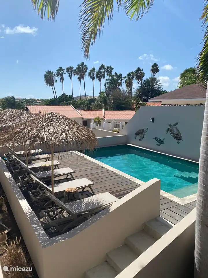 groot gedeeld zwembad van 4 bij 8 meter