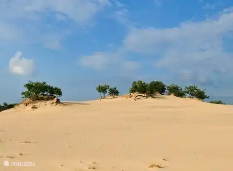 In der Nähe von Loonse en Drunense Duinen