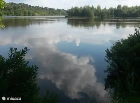 Wälder und Moore von Oisterwijk