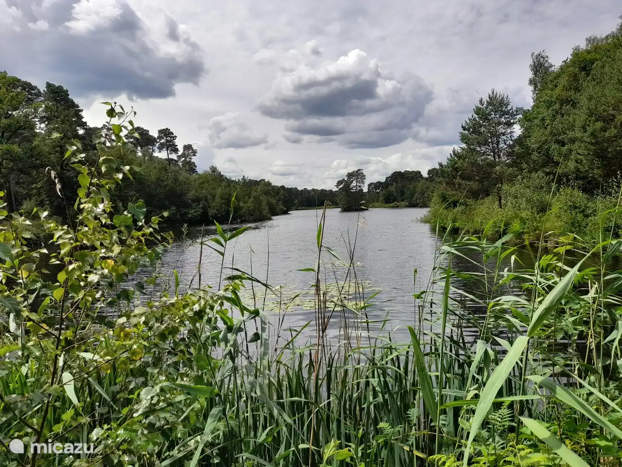 Wälder und Moore von Oisterwijk