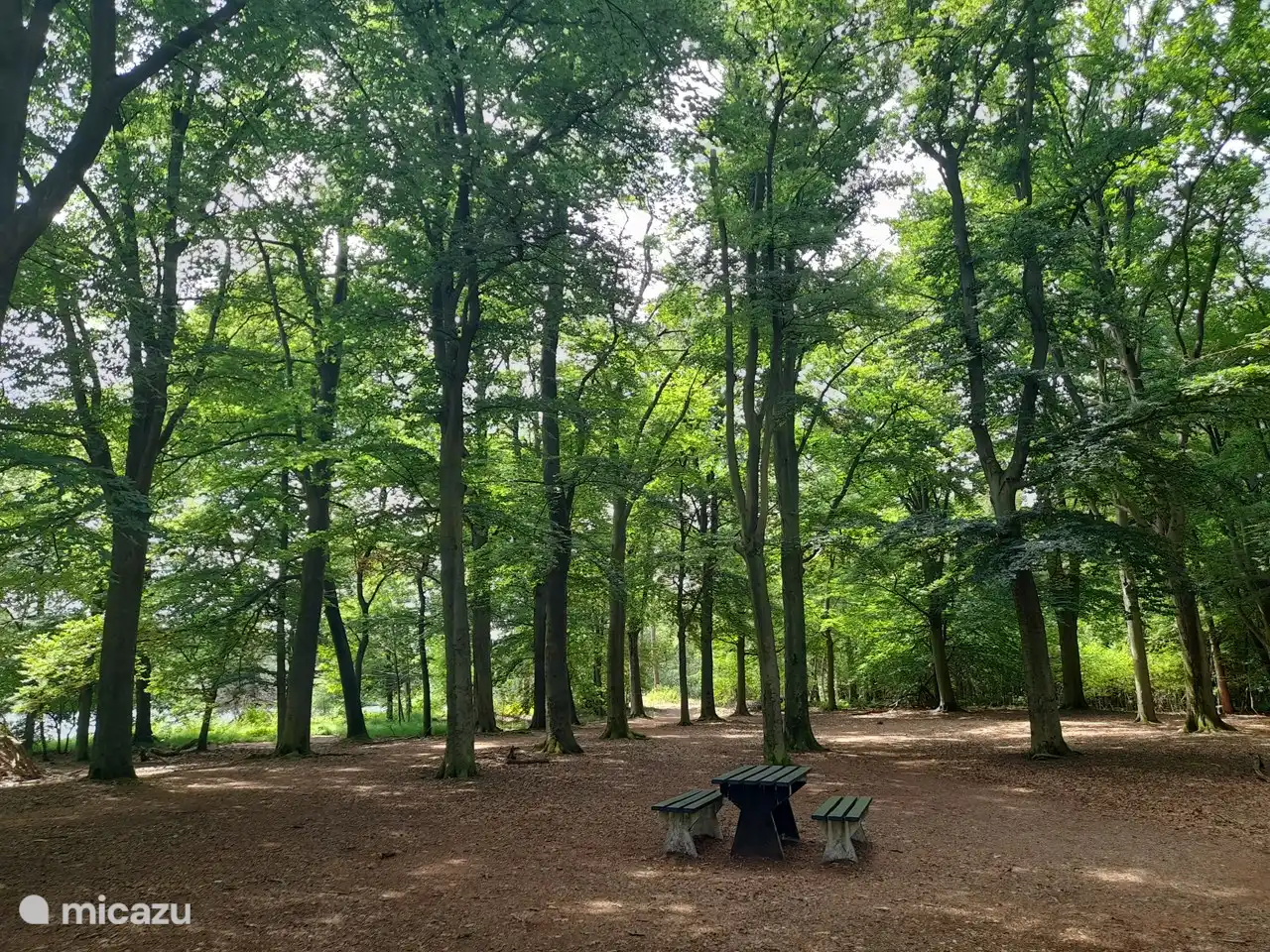 Picknick in den Wäldern von Oisterwijk und Vennen