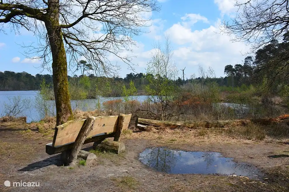 Oisterwijkse Bossen und Venn