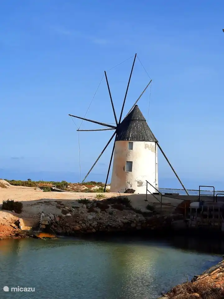 Die Mühle in Los Pagan mit den Schlammbädern 