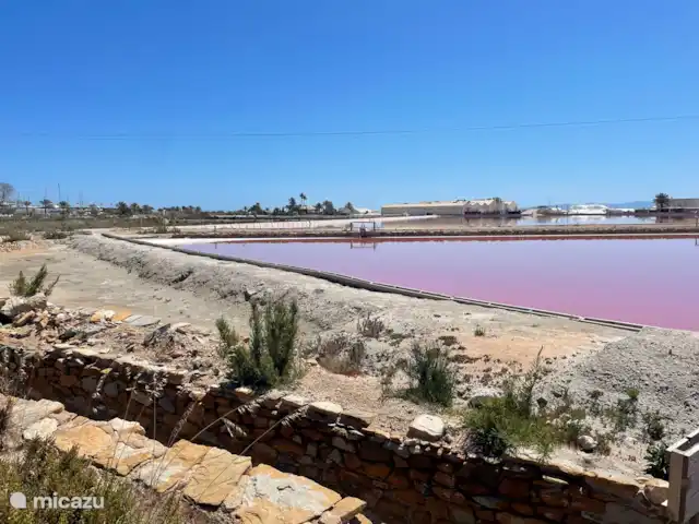Holiday Homes In Mar Menor To Rent Micazu holiday-homes-in-mar-menor-to-rent-micazu