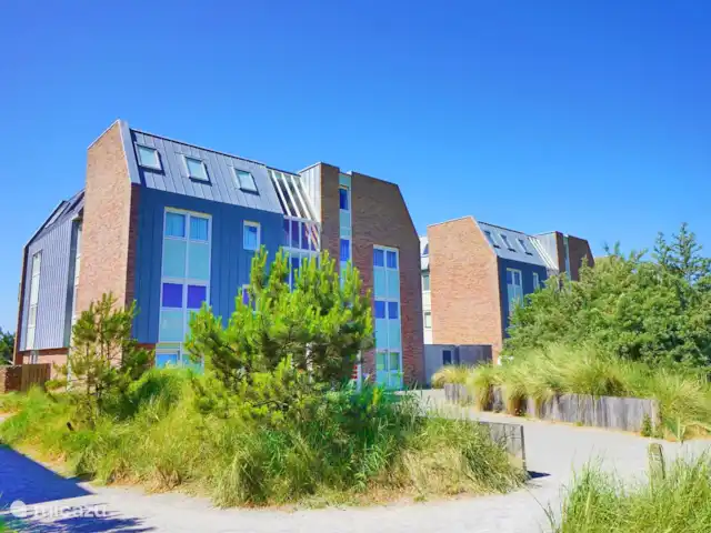 Duna Beach Style directement sur la mer | Pays-Bas, Hollande du Nord, Callantsoog - appartement