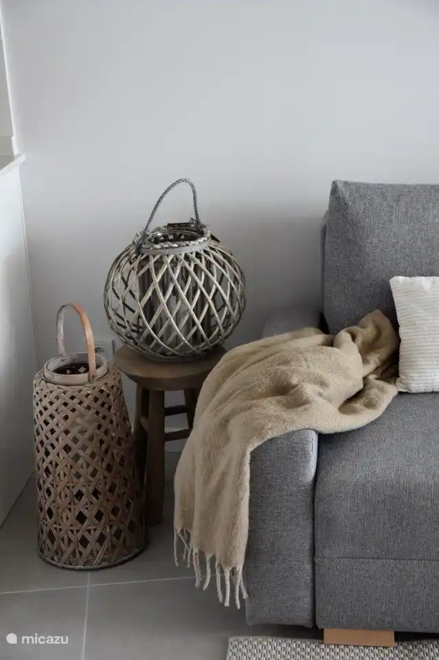 Le salon est joliment meublé.