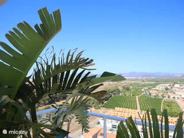 Gran Canet: luxe, strand, Valencia! huren in Spanje, Valencia, Canet d'En Berenguer - appartement Uitzicht op de sinaasappelbomen en in de verte Sagunto