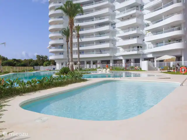 Gran Canet: luxe, strand, Valencia! huren in Spanje, Valencia, Canet d'En Berenguer - appartement Het heerlijke inloopzwembad op de begane grond met mooi aangelegde mediterrane tuien en ligweide.