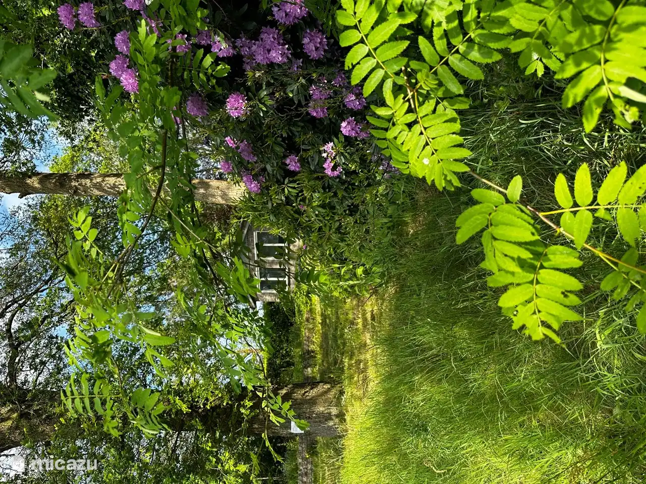 Ferienhaus in 't Groen in Niederlande, Overijssel, Haaksbergen - Ferienhaus