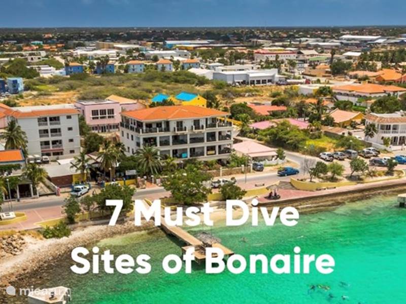 Vakantiehuis Bonaire, Bonaire, Kralendijk Appartement El Sueno Strand, shops & restaurants