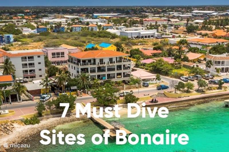 Vakantiehuis Bonaire, Bonaire, Kralendijk Appartement El Sueno Strand, shops & restaurants