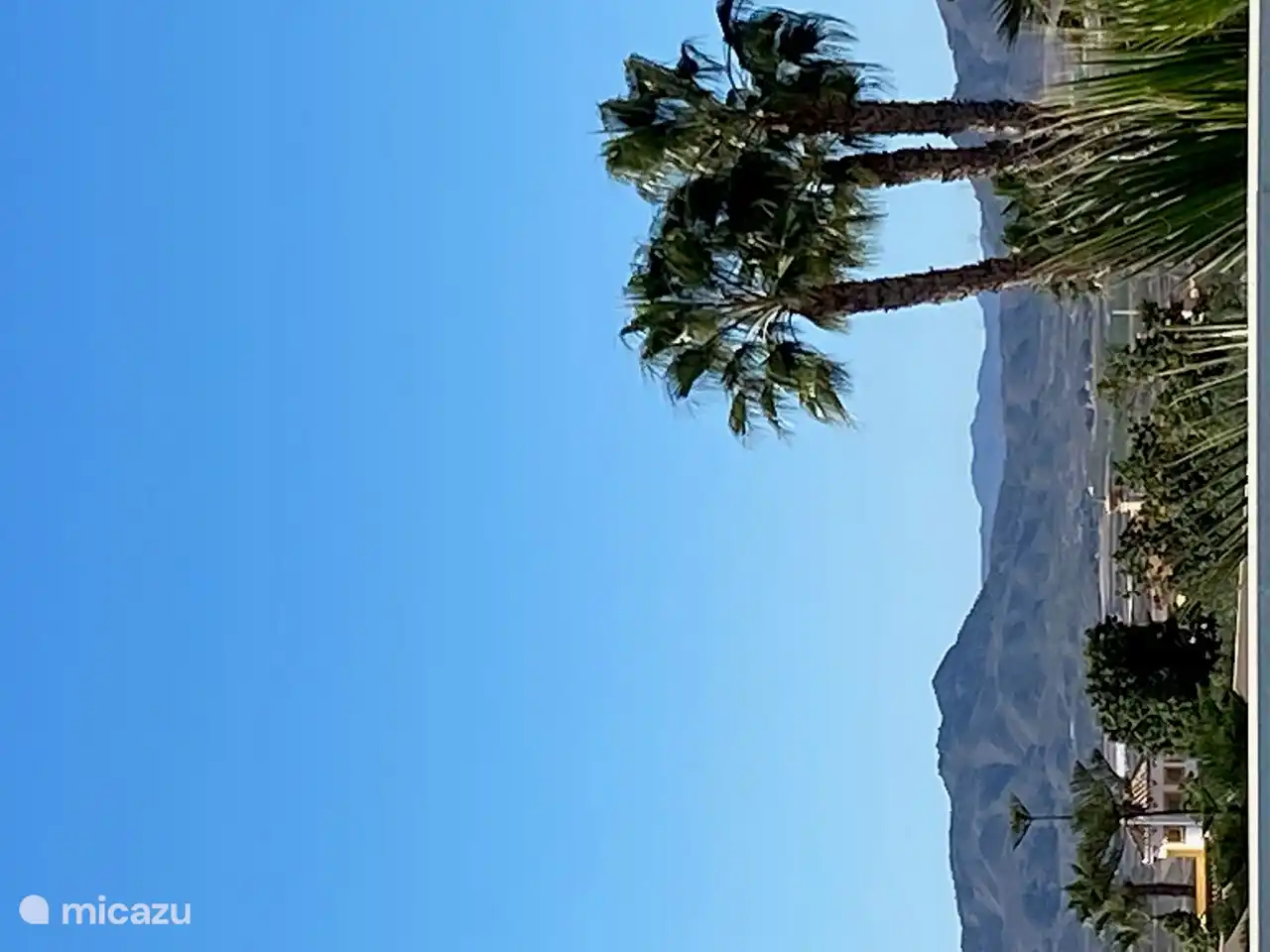 Disfruta bajo las palmeras junto al mar..