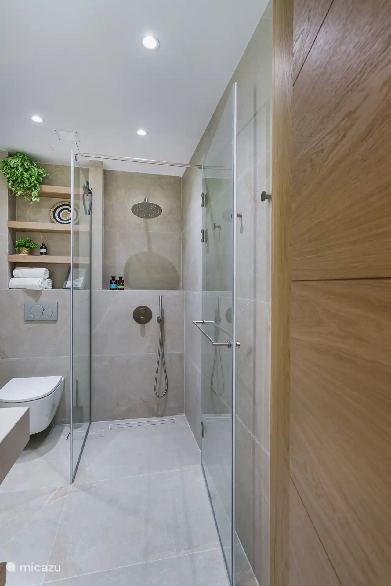 Downstairs bathroom with walk-in shower and toilet