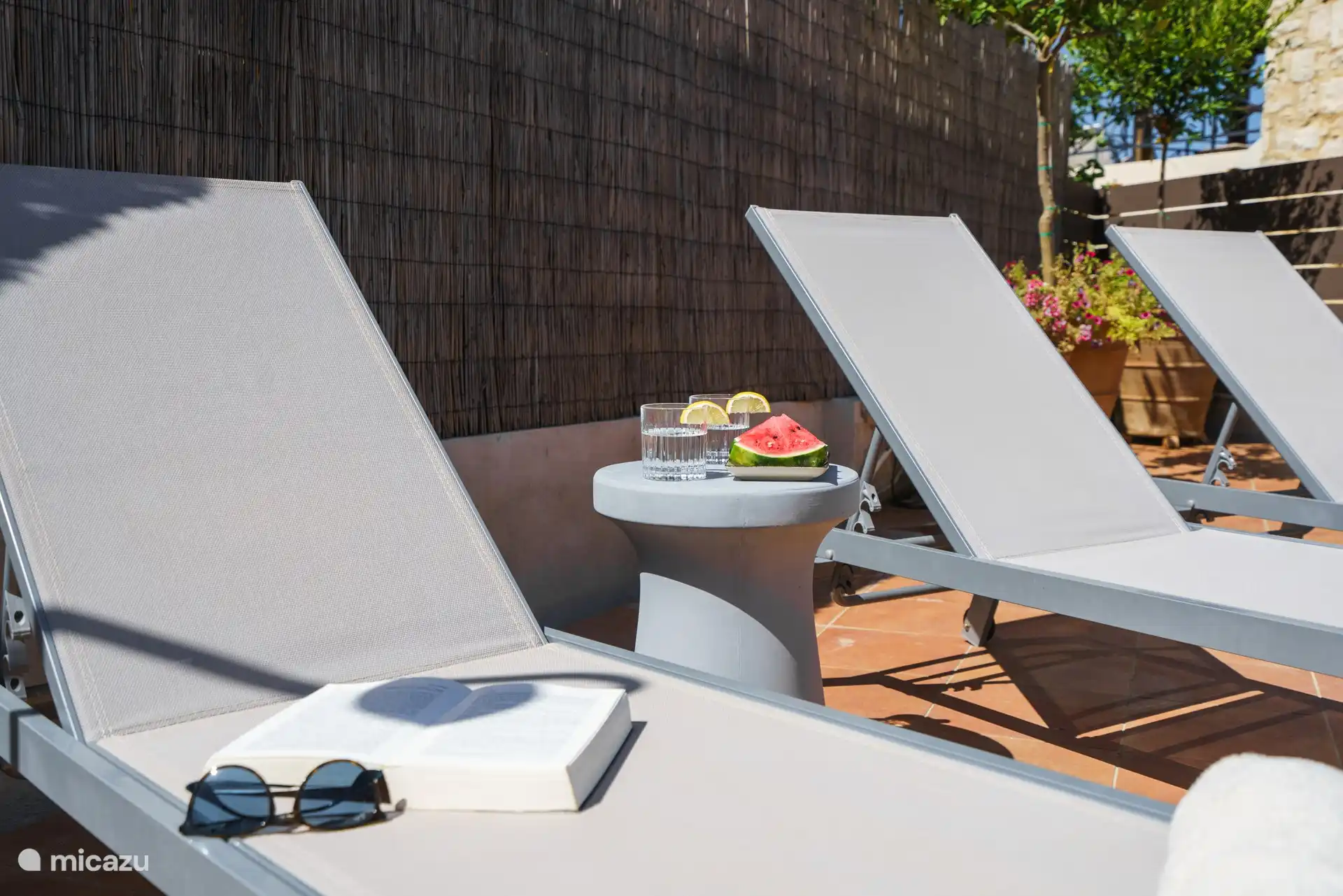 pool area sun loungers 