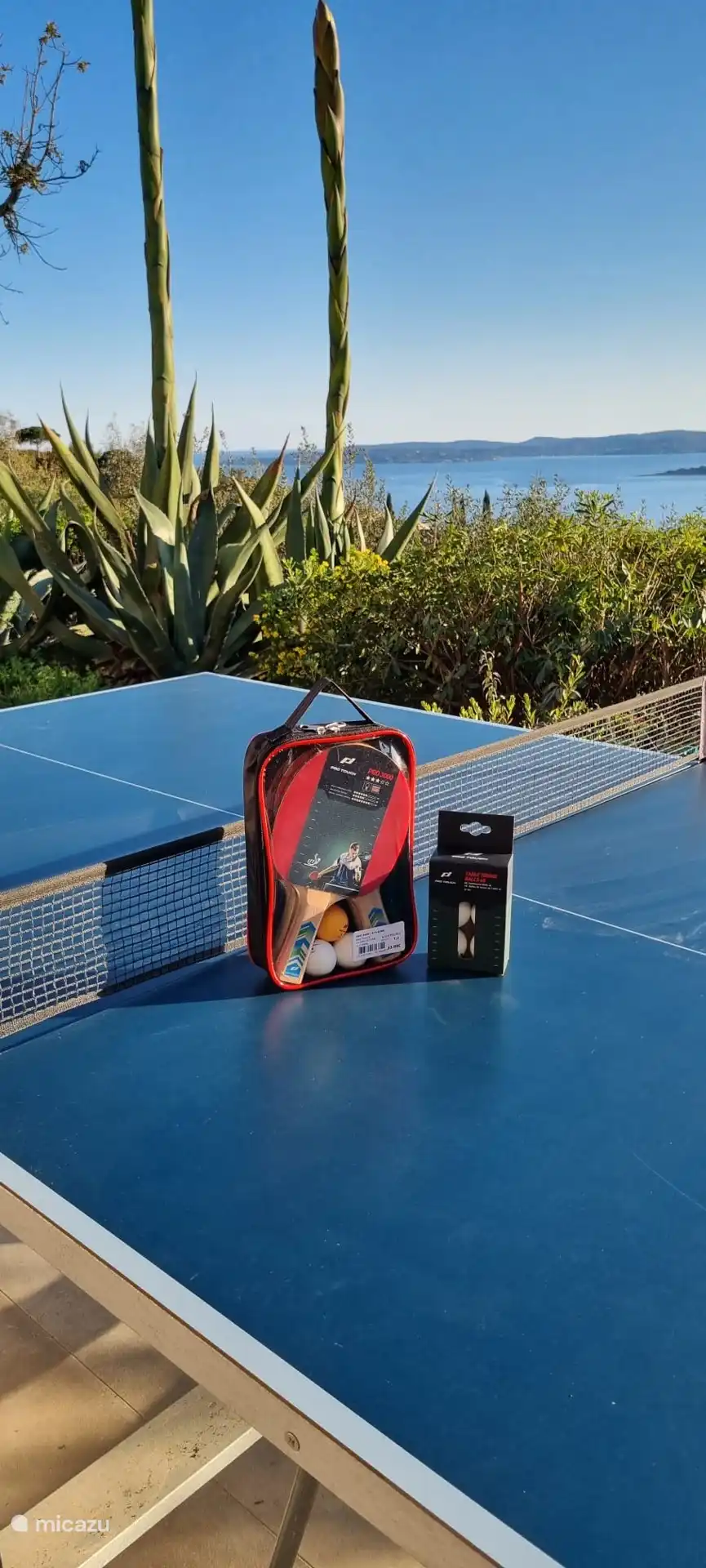 Es gibt eine Tischtennisplatte an der Villa