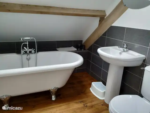 Bonne Chère - La Petite Sarre | France, Morbihan, Pontivy - gîte / cottage Salle de bains